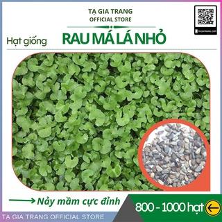 Hạt giống rau má ta lá nhỏ - Gói 800 hạt