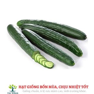 Hạt giống dưa leo lai F1 Nhật Bản 1g (dưa chuột Nhật, dưa chuột kiếm)