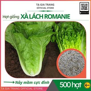 Hạt giống rau xà lách Romaine xanh - Shop hạt giống Tạ Gia Trang | Gói 2g