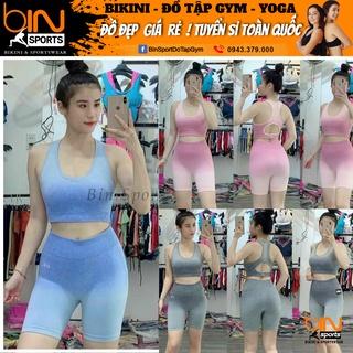 Set bộ đồ tập gym yoga nữ dệt kim ombre áo bra kèm mút quần đùi ngố cao cấp Bin Sports BL022