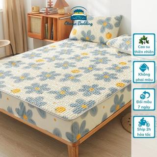 Chiếu điều hòa bo chun cao su non tencel latex cao cấp đủ size 1m6 1m8 2m - Otama Bedding