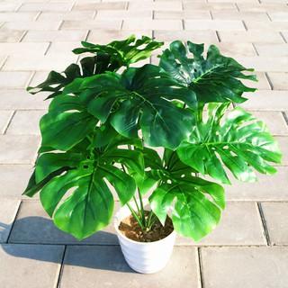 Cây hoa giả hoa nhựa monstera bonsai FL0015