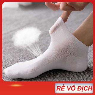 Tất nam nữ cổ ngắn, vớ công sở cao cấp 100% cotton có lưới thở, hàng dệt kim xuất khẩu