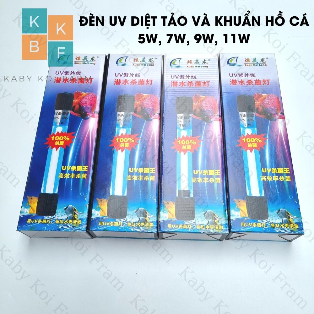 Đèn UV có thể diệt được loại tảo và khuẩn nào?