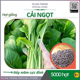 hạt giống cải ngọt