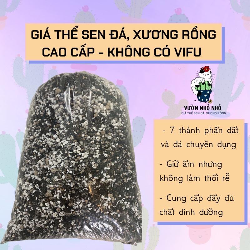 Có cần phải thay đổi đất trồng sau một thời gian cho sen đá và xương rồng không?