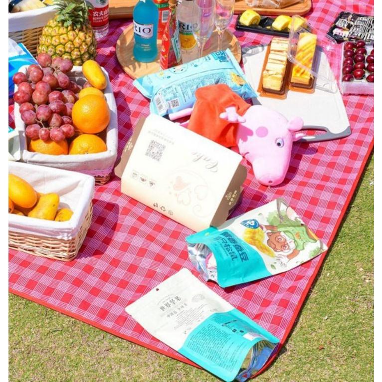 Bạn có những hoạt động gì thú vị để làm trong thảm dã ngoại picnic?