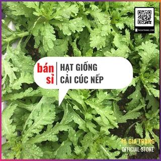 [Bán sỉ] - Hạt giống rau cải cúc nếp (tần ô lá tròn)