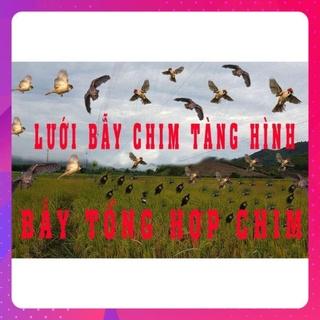 Lưới bẫy chim tàng hình  dài 40M cao 5M.