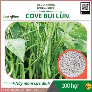 hạt giống đậu cove bụi lùn