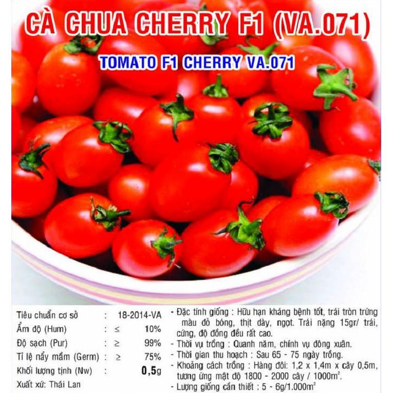 Hạt giống cà chua cherry đỏ có cần chăm sóc đặc biệt không?