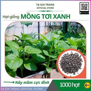 hạt giống mồng tơi