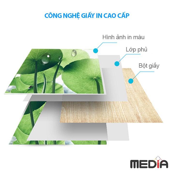 Giấy in ảnh 2 mặt có thể tái sử dụng được không?