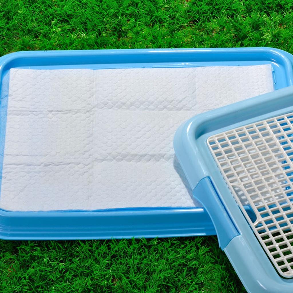 Khay vệ sinh cho chó có tác dụng gì?