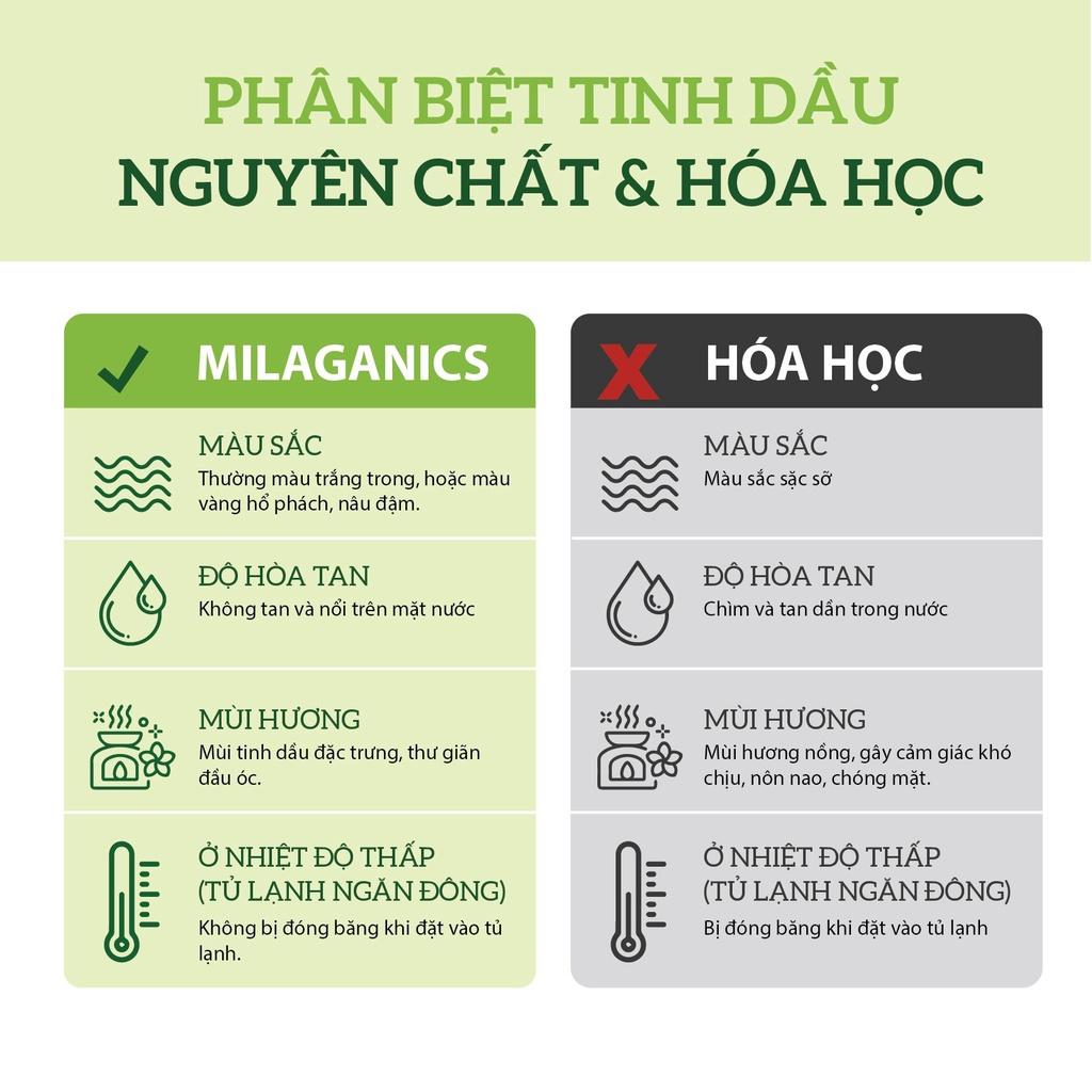 Tác dụng của tinh dầu tràm trà nguyên chất là gì?