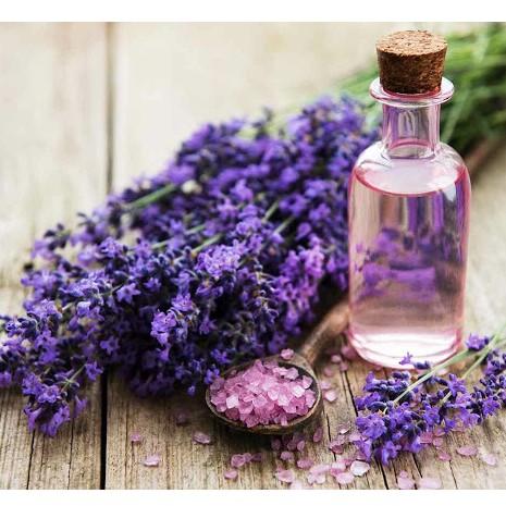 Tinh dầu oải hương lavender có những tác dụng chính gì?