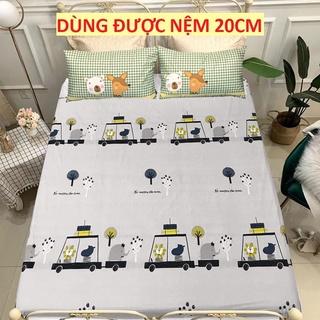 Ga chống thấm cotton LIDACO kháng khuẩn nằm trực tiếp cho bé không nóng bí