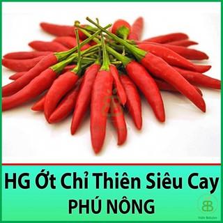 Hạt Giống Ớt Chỉ Thiên Siêu Cay