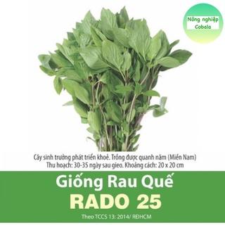 Hạt Giống Rau Quế Lá To Thơm Ngon 5gr