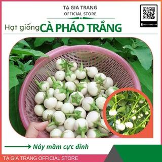 Hạt giống cà pháo trắng - Gói 0.5g