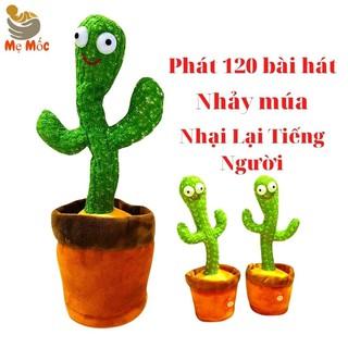 Xương Rồng Nhảy Múa, Cây Xương Rồng Biết Nói Nhại Tiếng Có 120 Bài Hát Hot Trend Cực Hay Mẹ Mốc Shop, Xrs, Qc