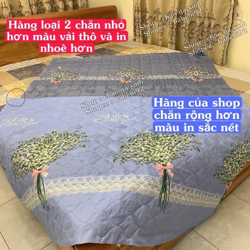 Có những loại chăn hè thu cotton nào trên thị trường?