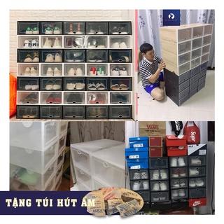 hộp đựng giày nắp nhựa cứng