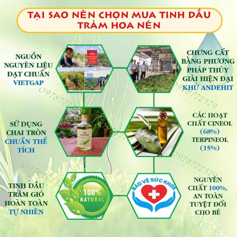 Tinh dầu tràm huế nguyên chất có tác dụng gì trong điều trị bệnh?