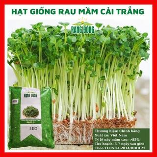 Hạt giống rau mầm củ cải trắng 1KG ngon giòn ngọt - rau củ quả rau củ quả trồng chậu, sân vườn RADO 01