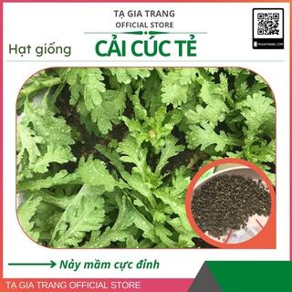 Hạt giống cải cúc tẻ (rau tần ô) - Gói 10000/ 5000/ 2000 hạt