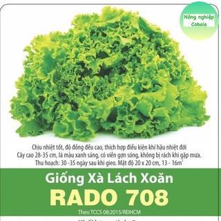 Hạt Giống Rau Xà Lách Xoăn Chịu Nhiệt Dễ Trồng 3gr