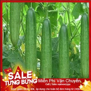 Hạt Giống Dưa Chuột Chịu Nhiệt - 10 Hạt [ Tặng bộ dụng cụ làm vườn Mini 3 món ]