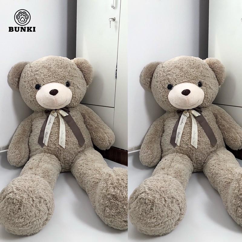 Có thể làm quà tặng gì với gấu bông teddy cao cấp?