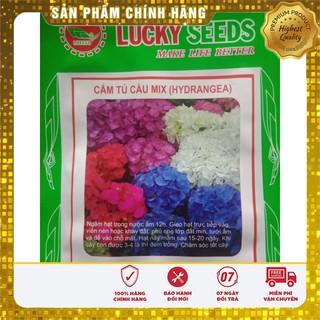 Hạt Giống Hoa Cẩm Tú Cầu Nhiều màu LUCKY SEED( 10 hạt)