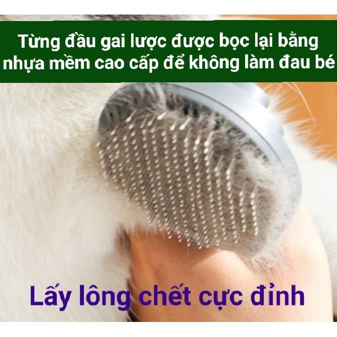 Chải lông bằng lược có hiệu quả không?