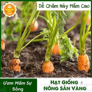 Hạt giống Cà Rốt Củ To F1 ( 3 Gram ) - Nông Sản Vàng