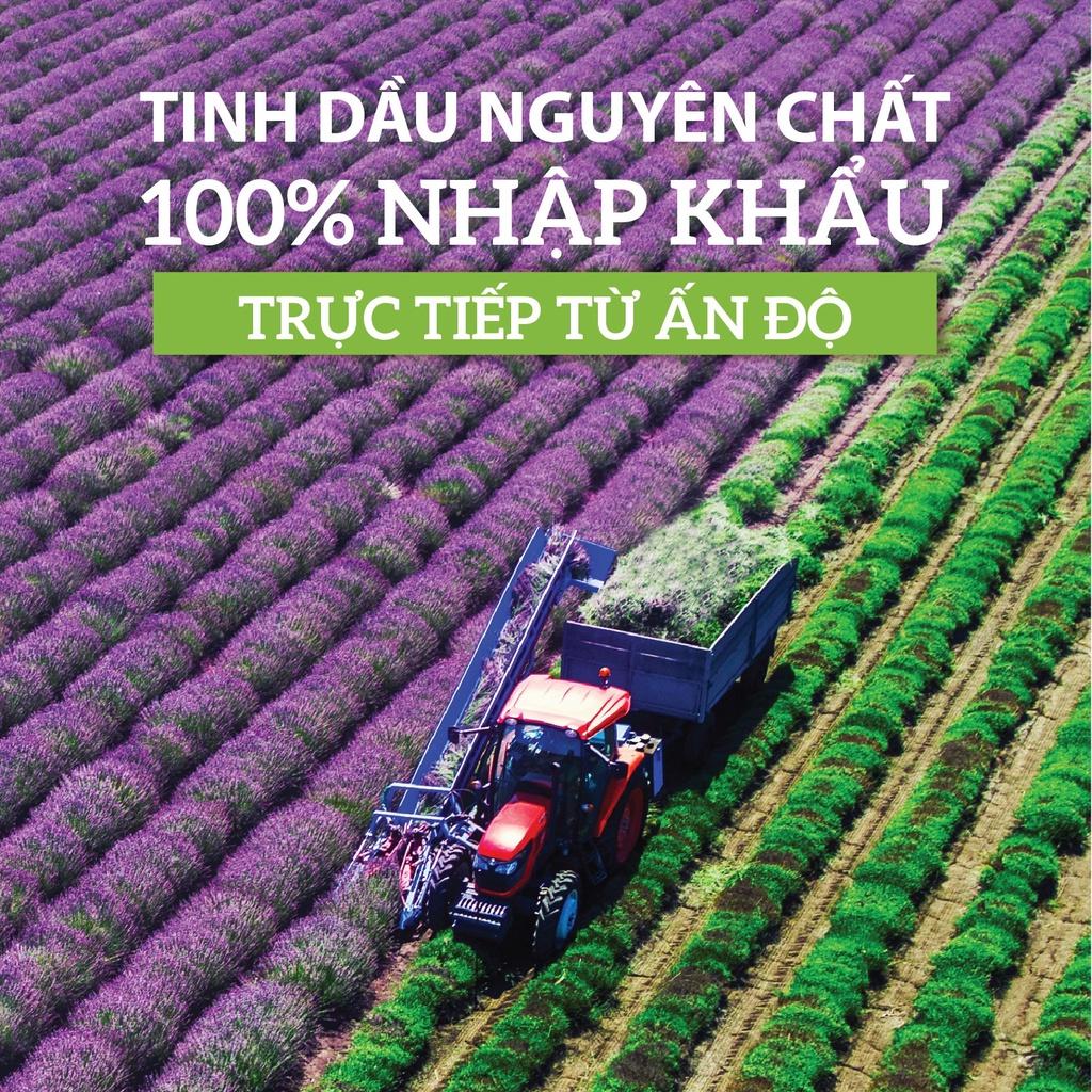 Có những thành phần gì trong tinh dầu vỏ bưởi nguyên chất?