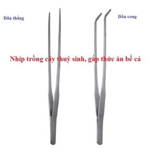 nhíp trần trồng cây thủy sinh