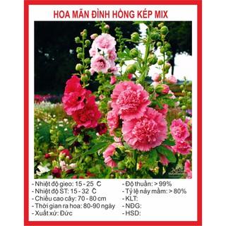 Hạt Giống Hoa Mãn Đình Hồng Kép Mix 20 Hạt