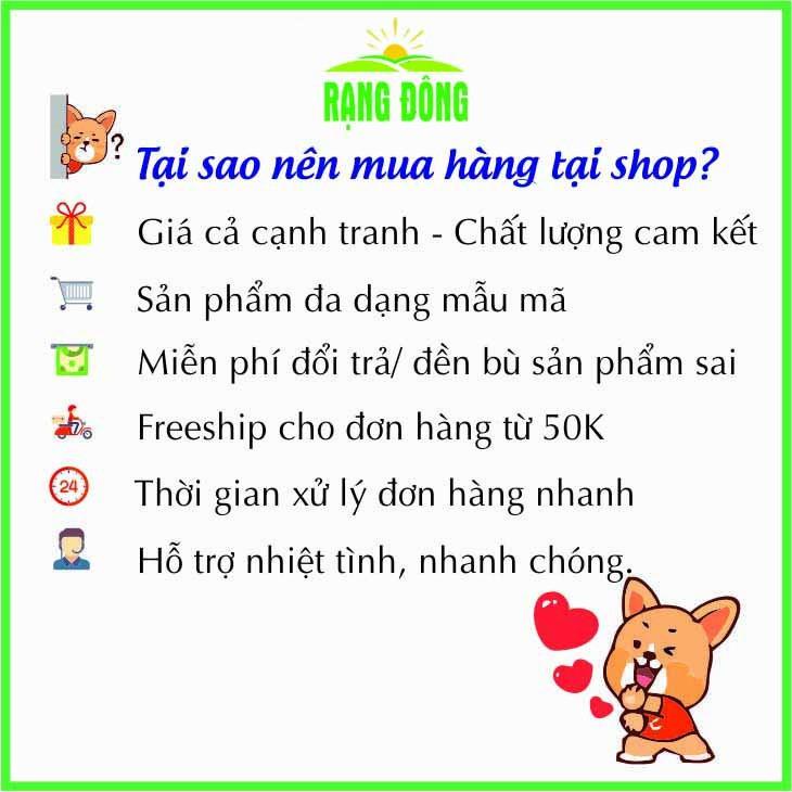 Cách chăm sóc và bảo quản rau má sau khi thu hoạch như thế nào?