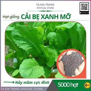 hạt giống cải bẹ xanh