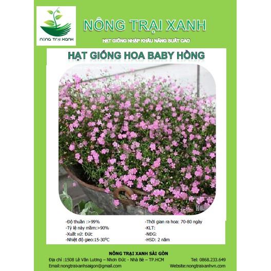 Hạt giống hoa hồng cần được bảo quản như thế nào để giữ được tính sống?