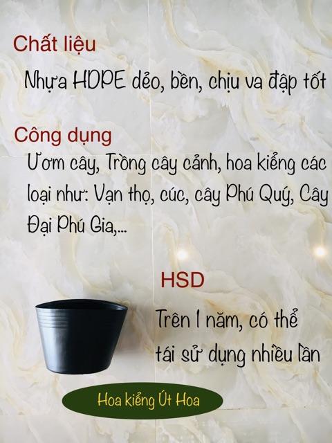 Làm thế nào để tái sử dụng chậu nhựa trồng cây?