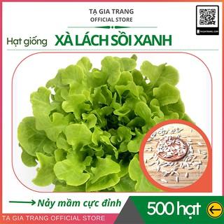 Hạt giống rau xà lách Oakleaf lá sồi xanh