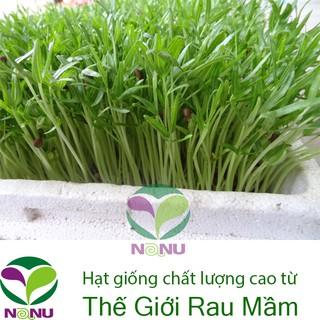 Hạt giống rau mầm rau muống VN - 1Kg _ Thế Giới Rau Mầm _thegioiraumam.com