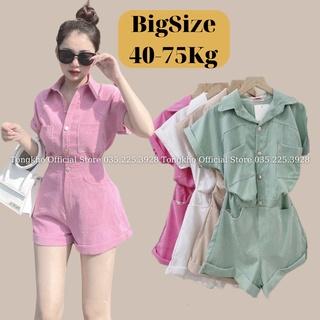 Bộ Jumpsuit nữ BIGSIZE cổ sơ mi liền quần gập gấu chất nhung tăm cực xinh 151