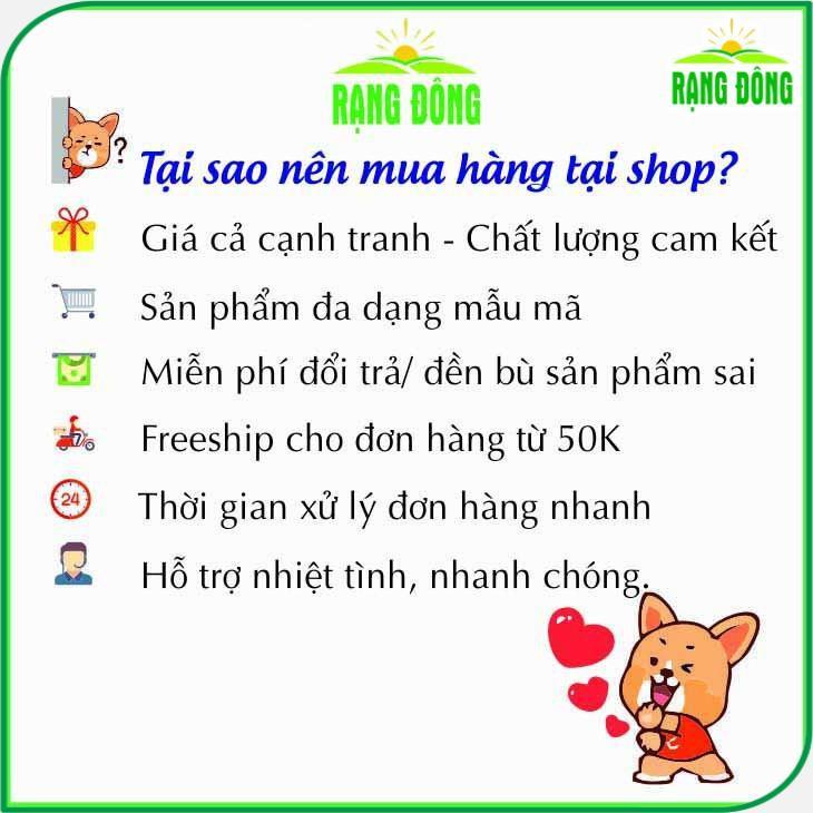 Có nên thu hoạch hạt giống hoa hướng dương và bảo quản như thế nào?