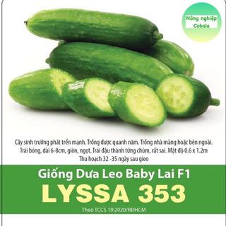 Hạt Giống Dưa Leo Baby (LYSSA353) Sai Trái 5 Hạt