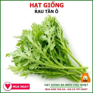 20G - Hạt Giống Rau Tần Ô (Cải Cúc)