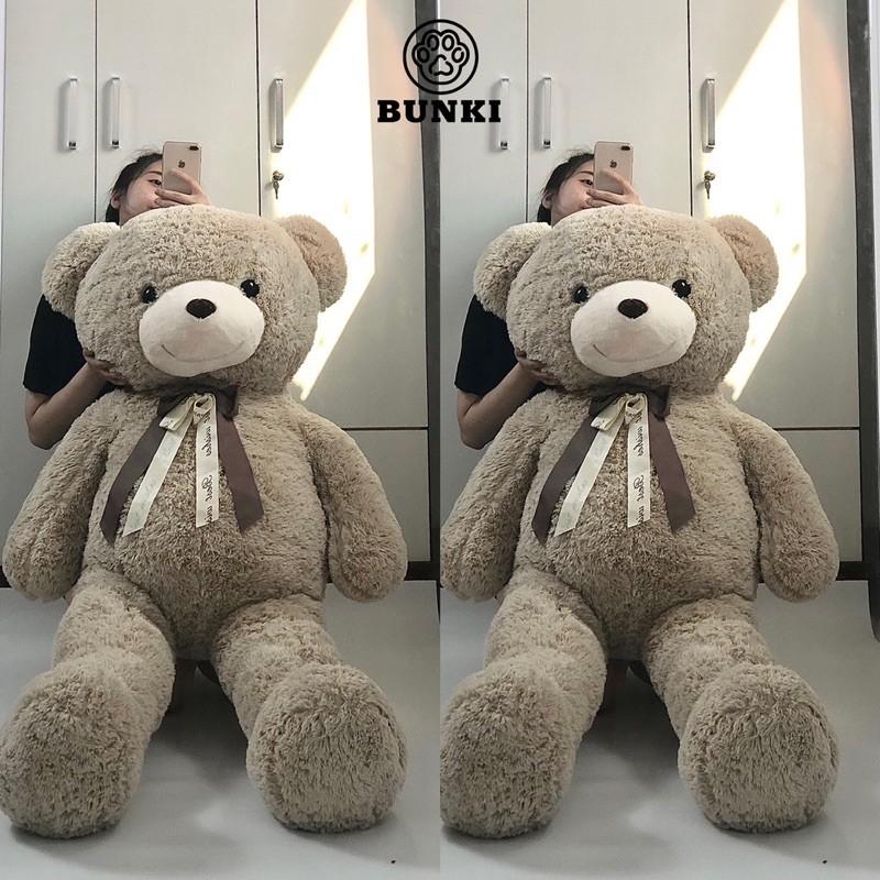 Gấu bông teddy cao cấp có tính năng gì đặc biệt hay không?